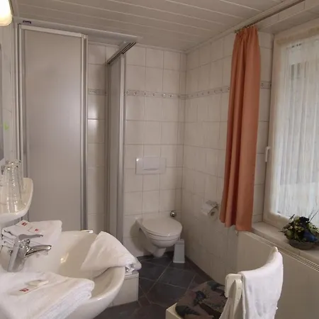 Πανσιόν Gastreich 4*